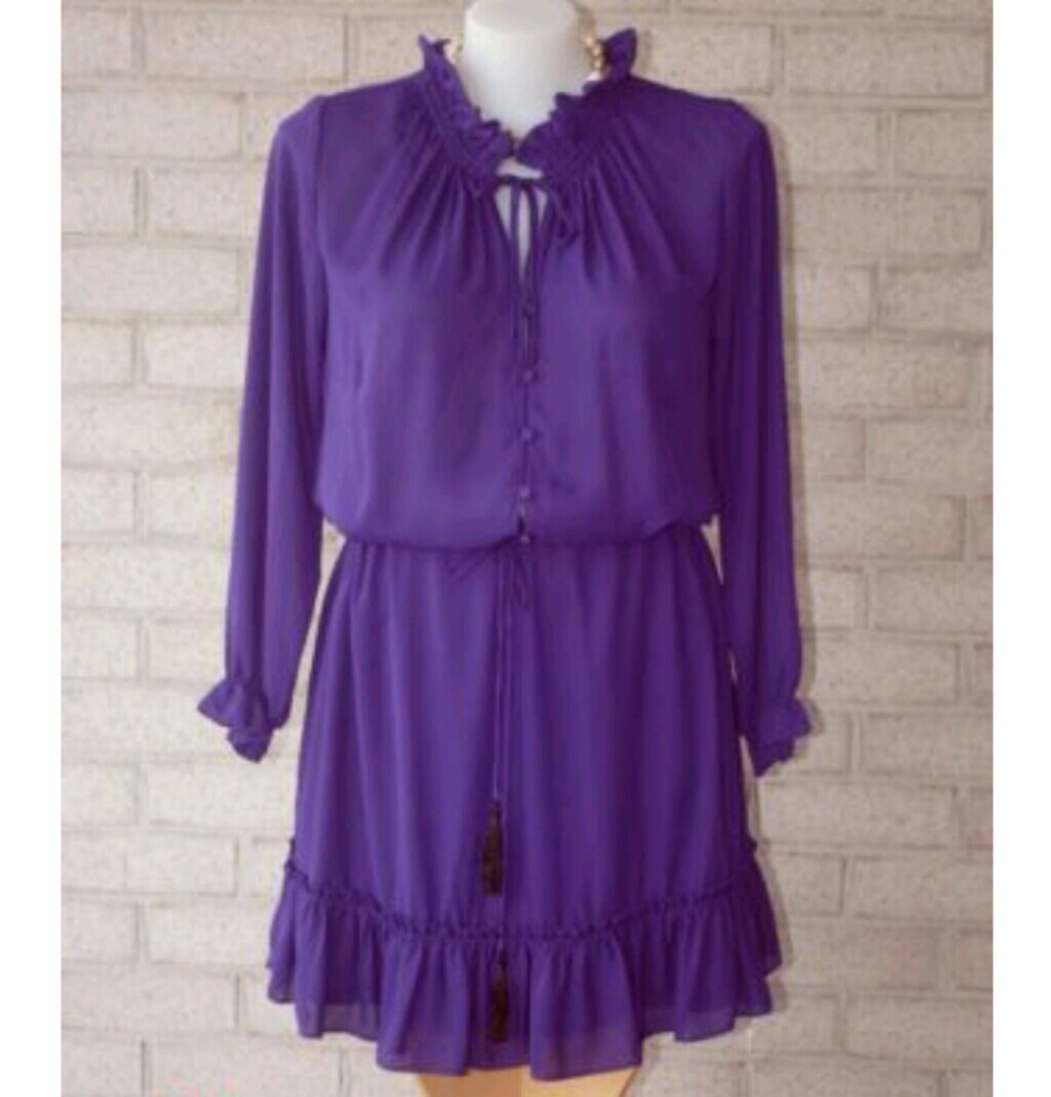 Purple Ruffle Dress - Picture 5 of 8